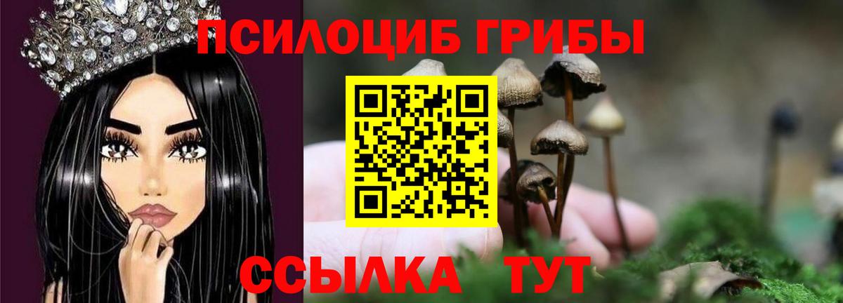 Псилоцибиновые грибы прущие грибы Верхняя Салда